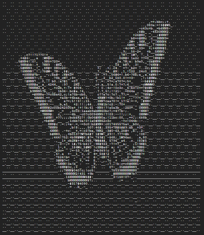 ASCII Art Snapshot 4