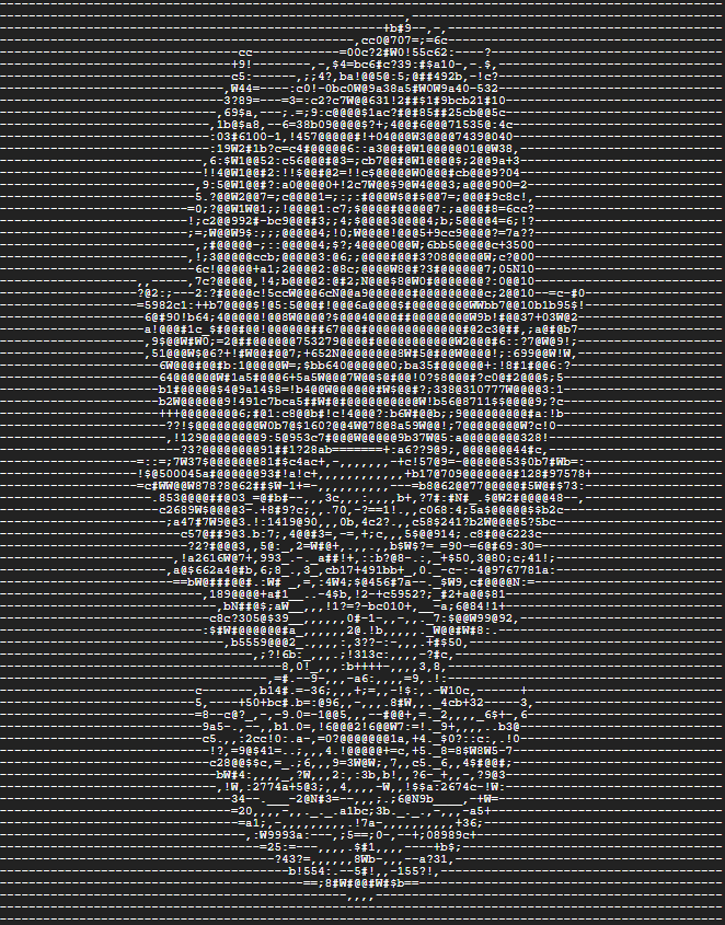 ASCII Art Snapshot 6